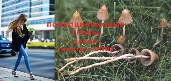 мет Россошь